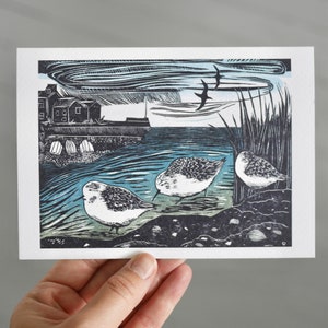 Sanderlings am Strand Wharf - Vogel Holzschnitt Druck Kunst / Grußkarte