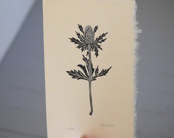 Eryngium - Original Limited Edition Lino print, Linocut print, Botanical print, nature print, gift print, black ink print