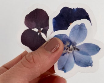 Clear Pressed Pansy Flower Sticker 3.5 cm x 4 cm