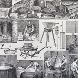Cheese factory, Cheese, types of cheese, Maturation, Salting, vintage kitchen poster - Old illustration, Larousse print
