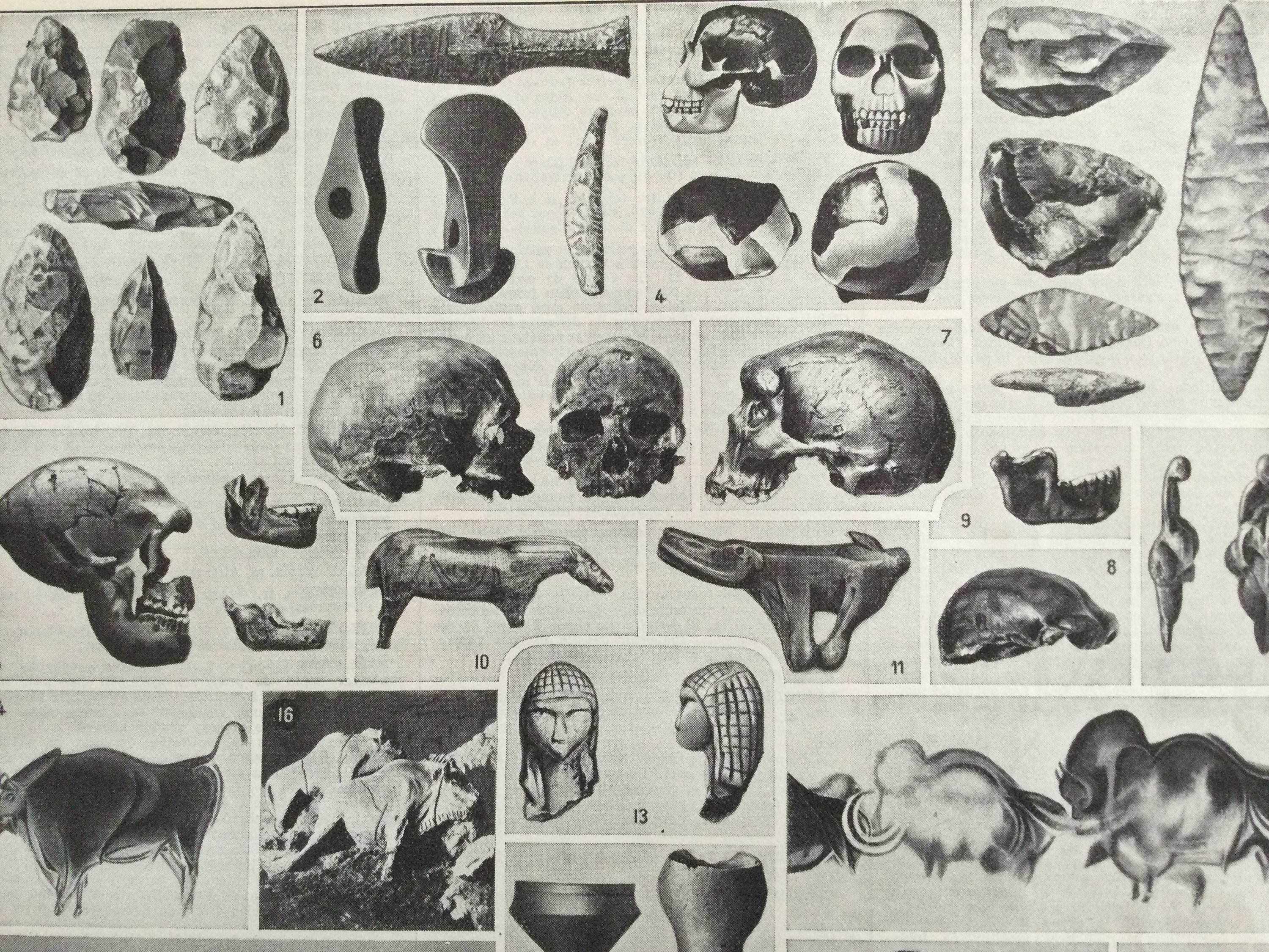 Affiche Vintage Paléontologie - Paleontology Crâne, Mammouths, Sculpture Vintage Français