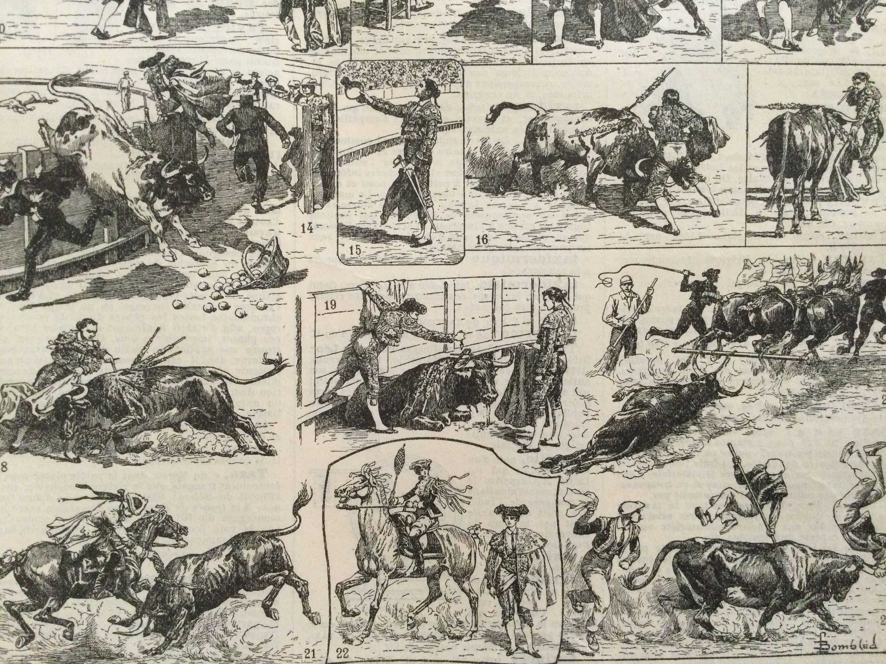 Affiche Vintage Taureaux - Course de Taureaux Tauromachie Espagne Antique Print France Vintage Franç