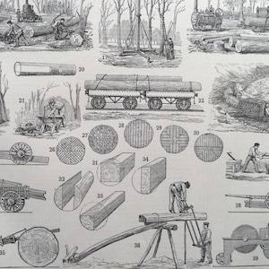 Peut inclure: Illustration en noir et blanc d'anciens travaux forestiers. L'image montre des travailleurs abattant des arbres, transportant des grumes et utilisant diverses techniques de transformation du bois. Comprend des schémas de coupes de bois et de sections transversales.