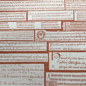 Può includere: Una stampa rettangolare che presenta quindici sezioni distinte di testi manoscritti storici in latino, greco e francese antico. Il layout include varie scritture calligrafiche, iniziali decorative e piccoli cerchi numerati, il tutto in inchiostro rosso scuro su sfondo crema.
