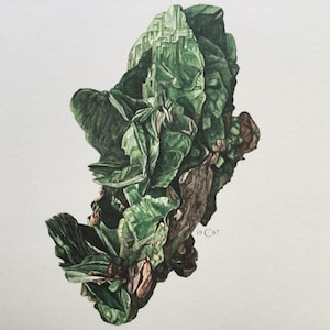 May include: Watercolor painting of a green mineral formation with a crystalline structure. The artwork features shades of green and brown, with a detailed depiction of the mineral's texture and form. The painting is set against a white background.