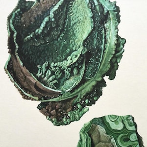 Malachite Rocks Stones Crystals Mineralogy Prints Geology Vintage Print Natural Stones Original Print 60s