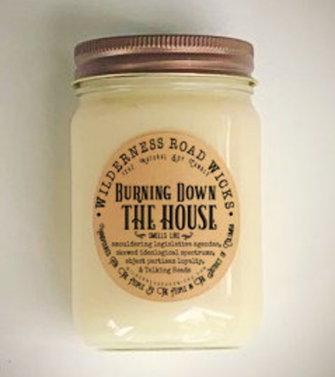 BURNING DOWN the HOUSE Soy Candle | Political Humor | Congress | Gag Gift |  Smoke Scent