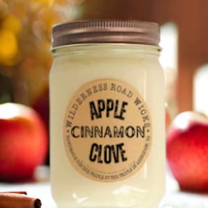 APPLE CINNAMON CLOVE Soy Candle | Fall Scent | Autumn Scent | Christmas | Winter | Apple Scent | Spice | Natural | Kitchen | Housewarming |