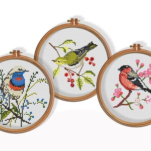 Set of 3 Birds Cross stitch pattern, Birdwatcher Cross stitch Chart, Counted Cross Stitch Chart, Easy Cross Stitch, PDF, Digital Download