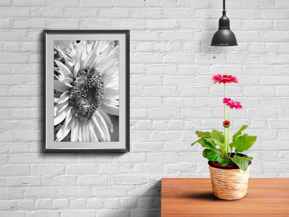 Sunflower Wall Decor Sunflower Gift Fine Art Photography Etsy