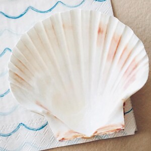 Irish Scallop Shell and Paper Decoupage Set with Tutorial