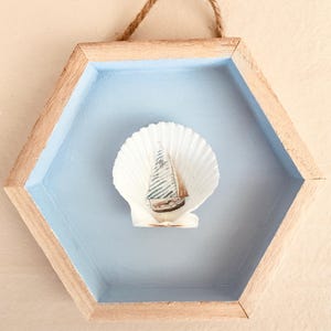 Oeuvres d&#39;art sur les coquillages côtiers : Shadow Box hexagonal peint à la main - Pétoncles de Floride