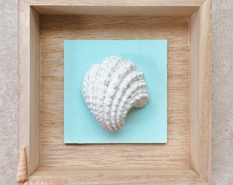 Seashell Shadowbox: Handpicked Beachcomber Art, Minimalist Coastal Wall Decor