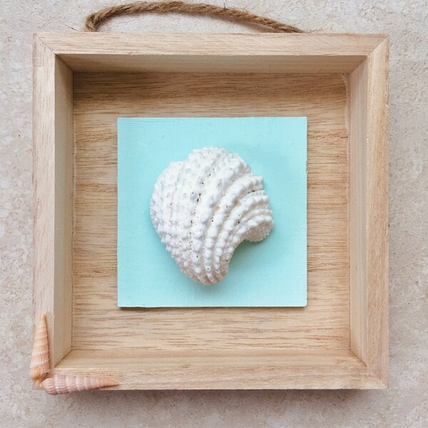 Seashell Shadowbox: Handpicked Beachcomber Art, Minimalist Coastal Wall Decor