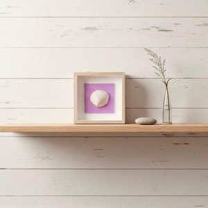 Shadowbox coquillage trié sur le volet : oeuvres d'art Beachcomber, décorations côtières pour murs et portes