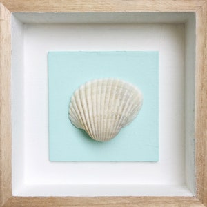 Handpicked Seashell Shadow Box: Beachcomber Art, Coastal Wall & Door Decor