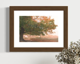 Great Tree at Sleeping Bear Sand Dunes Print / Autumn Nature Art / Nature Photography / Lustre Print / Metal / Canvas Wrap / Horizontal