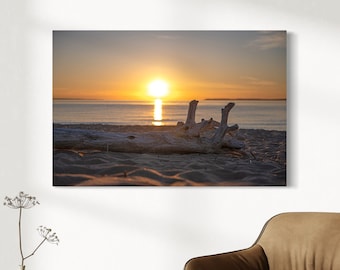 May include: A photograph of a sunset over a body of water with a piece of driftwood in the foreground. The sun is setting behind the horizon, casting a golden glow over the water. The driftwood is lying on the sandy beach, with its branches reaching up towards the sky.