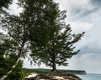 Chapel Rock Tree Print / Pictured Rocks /Upper Peninsula Michigan Photography / UP Landscape