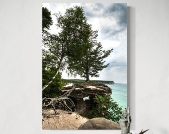 Chapel Rock Tree Print / Pictured Rocks /Upper Peninsula Michigan Photography / Lake Superior / Vertical Print / Metal / Canvas