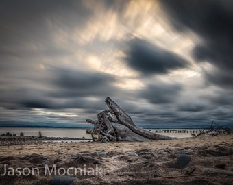 Whitefish Point Driftwood Beach Print / Lake Superior Michigan Photography / Dramatic Landscape Art
