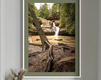 Cedar Falls and Tree Roots Print / Nature Waterfall Art / Hocking Hills State Park Photography