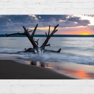 Driftwood Sunset Reflections Print / Lake Superior Michigan Photography / Brimley State Park