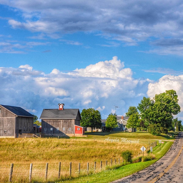 Michigan Country Roads Artwork / Farm Scene / Rural Photography