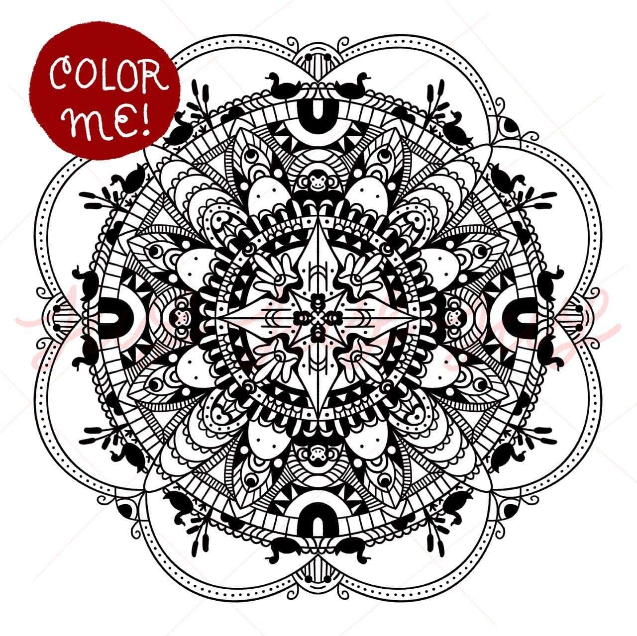 Ducks and Doodles Mandala - Coloring Page - Etsy