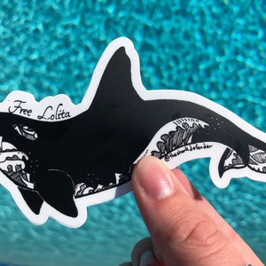 Killer Whale Sticker