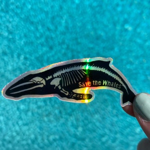 Holographic Killer Whale Sticker
