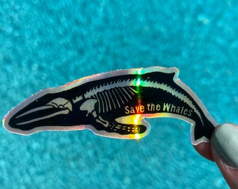 Holographic Killer Whale Sticker