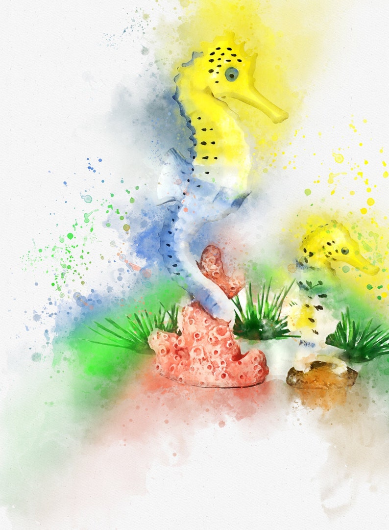 seahorse watercolor Seahorse watercolour print seahorse art seahorse poster poster of seahorse seahorse wall art
