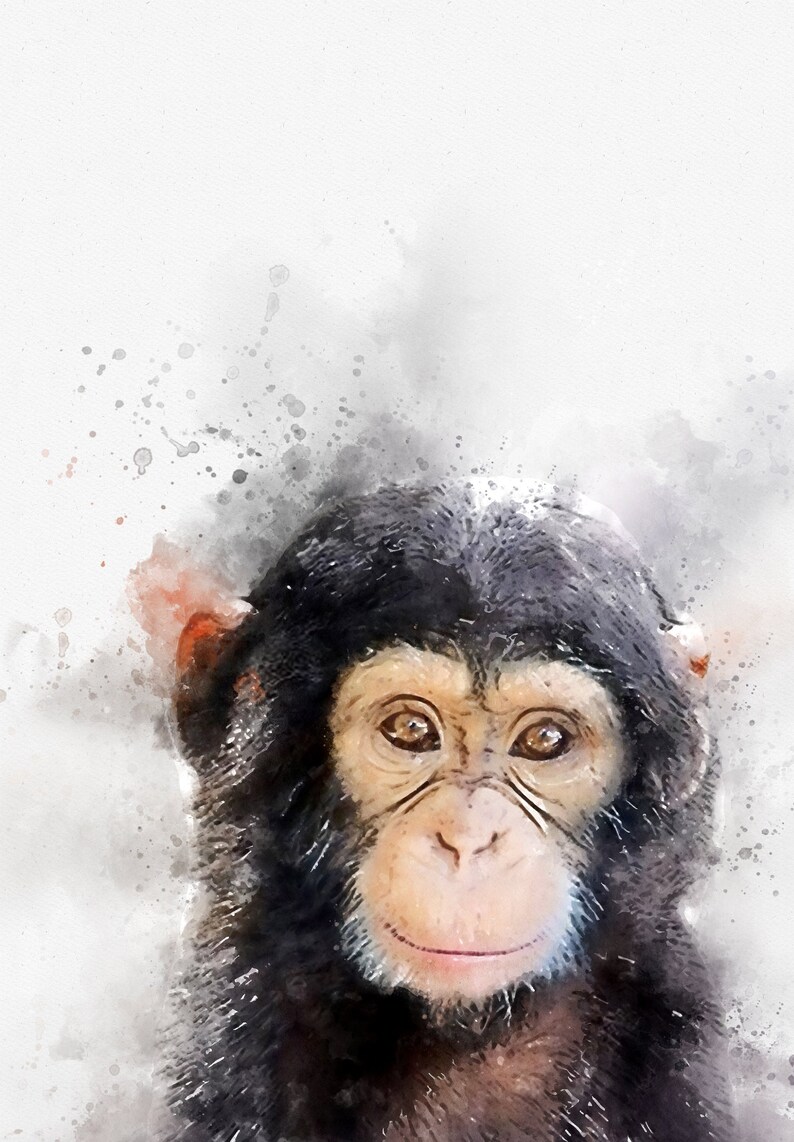 Baby animal watercolour monkey watercolor watercolour monkey | Etsy