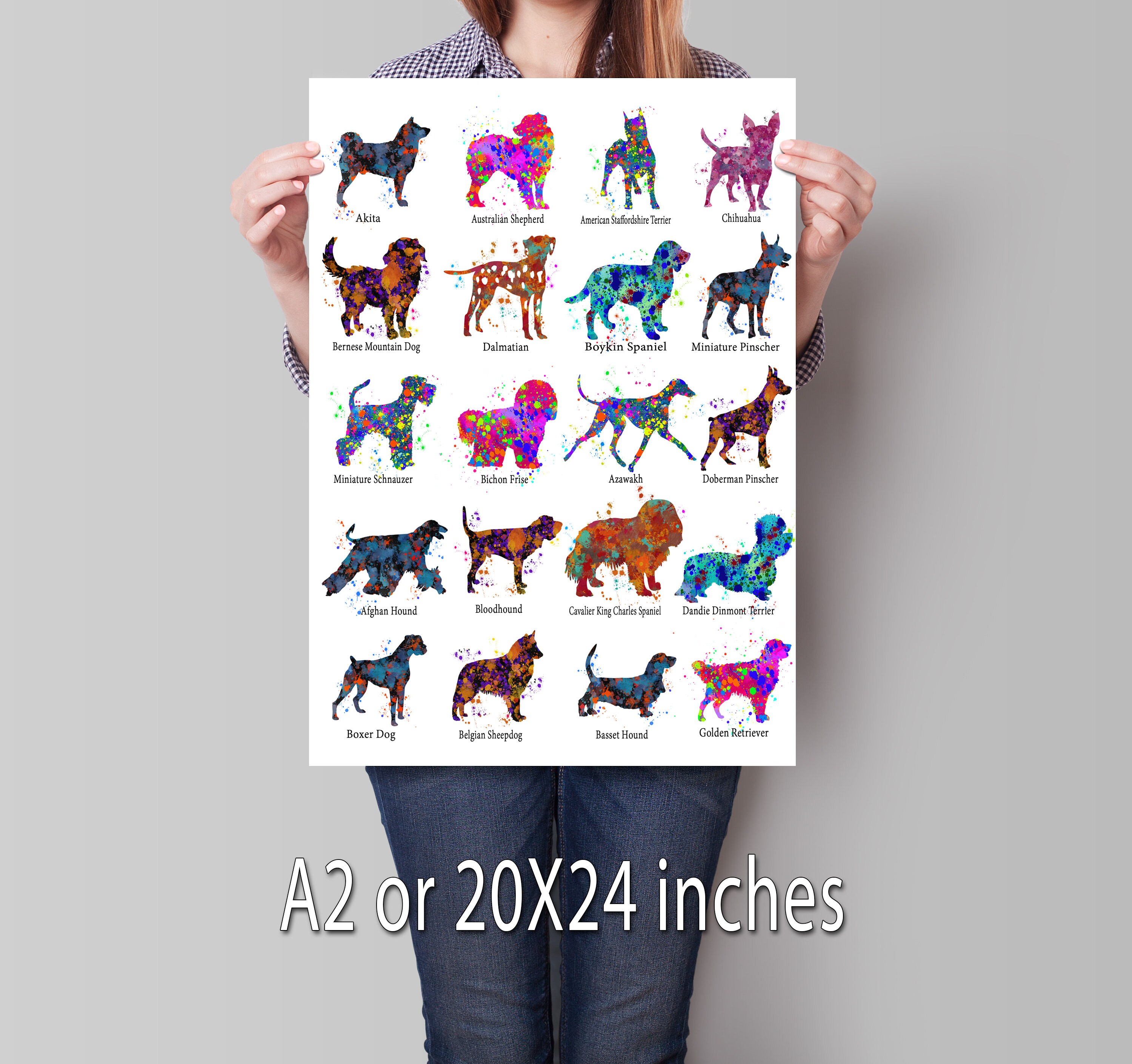 Dog Breed Chart 1 color splash print dog breed chart poster Etsy