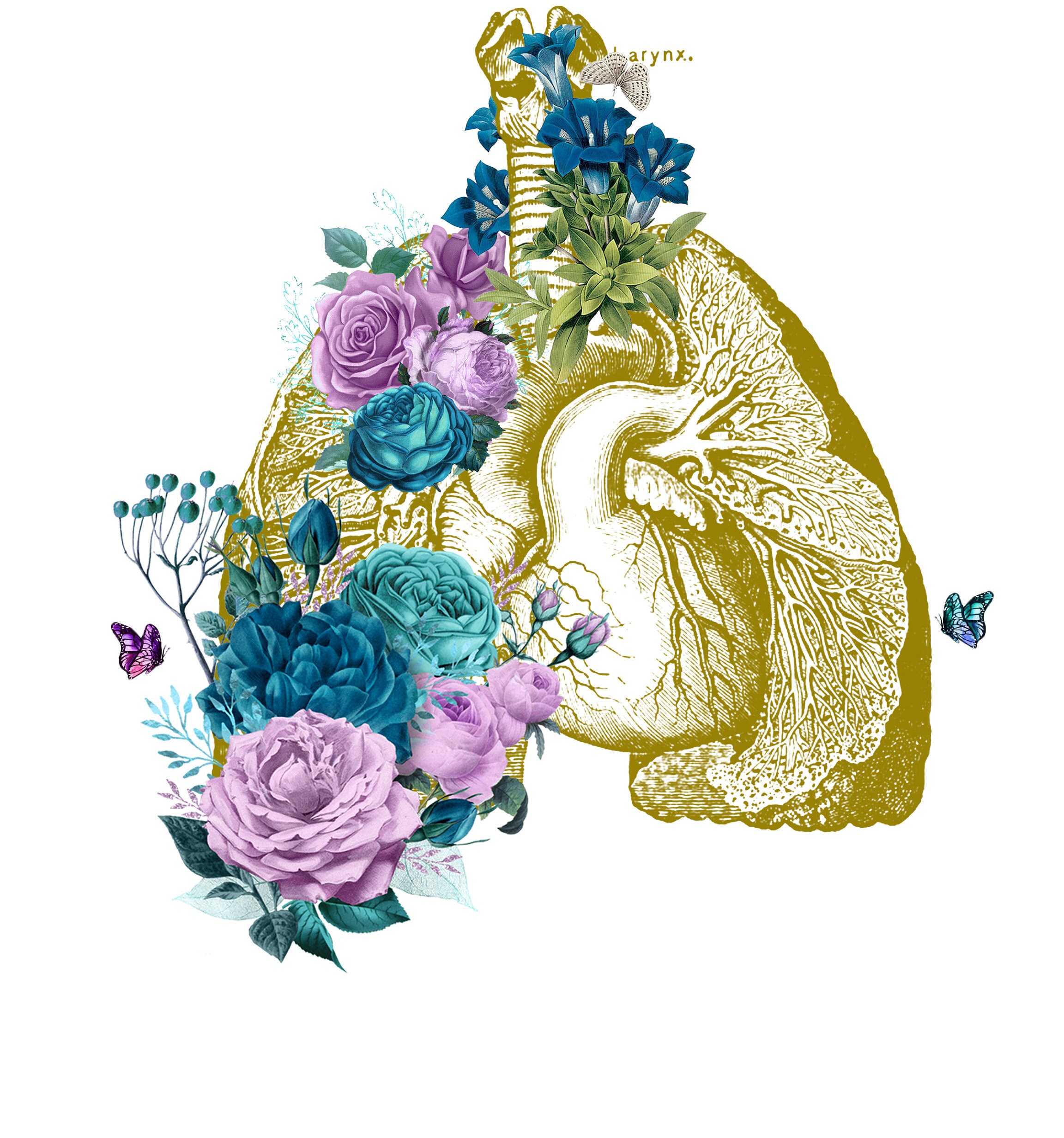 Human Lungs with flowers print human lungs poster lungs Etsy