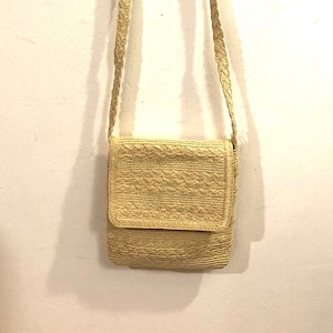 Cappelli Straworld A Woven Champagne Cross Body Purse With