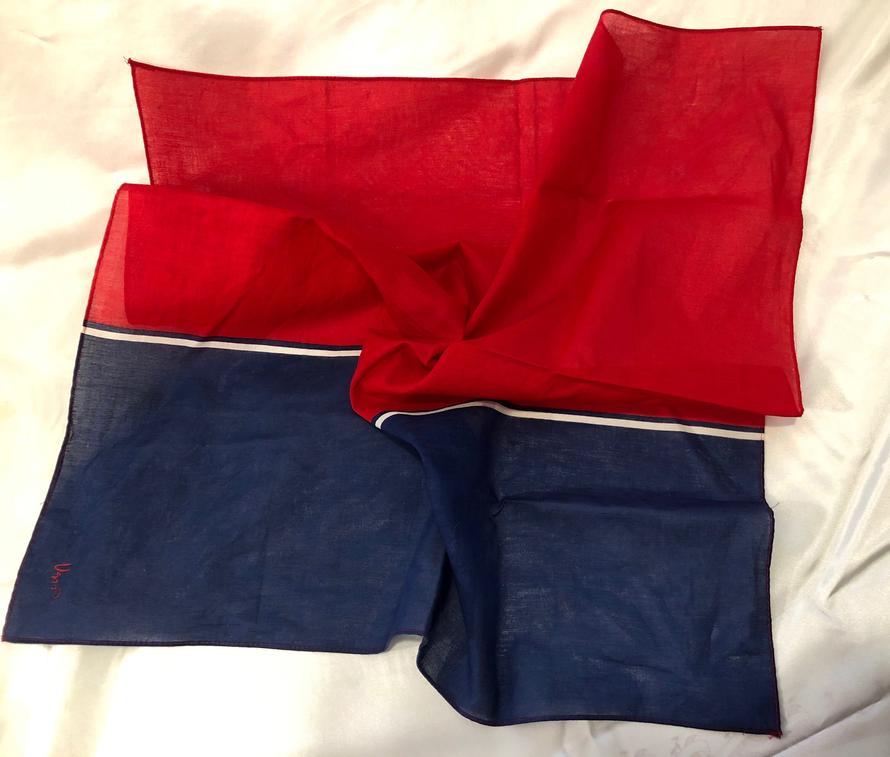 Vera - Vintage Made in Japan - A Stylish Red and Blue Cotton