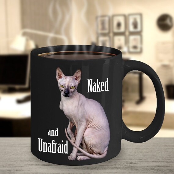 black hairless sphynx