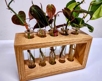 Plant Propagation Station Handcrafted from Oak
