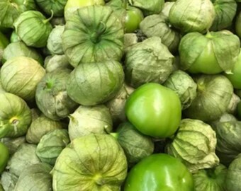 Tomatillo seed,  tomato seeds, fried green tomatoes, grow your own, organic tomato seeds, heirloom, heirloom tomato