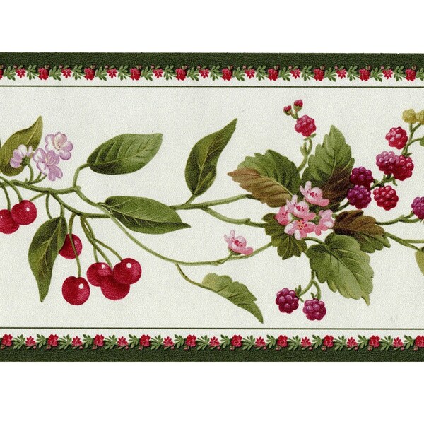 Bordure de papier peint fruitée et florale, baies rouges, vigne, abondance de fruits, préencollée, dimension : 15 pi x 6 po.