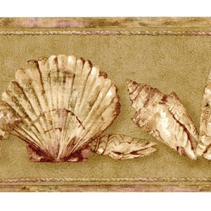 May include: A brown and beige seashell border wallpaper with a large seashell in the center and smaller seashells on either side.