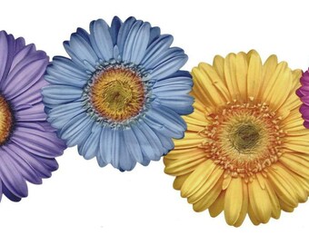COUNTRY WREATH DAISIES PANSIES Wallpaper bordeR Wall
