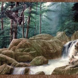 Confine per carta da parati con natura selvaggia, scena di fauna selvatica del bosco, aquile, gufi, lupi, orsi, confine per carta da parati rustica con natura, carta da parati con animali selvatici