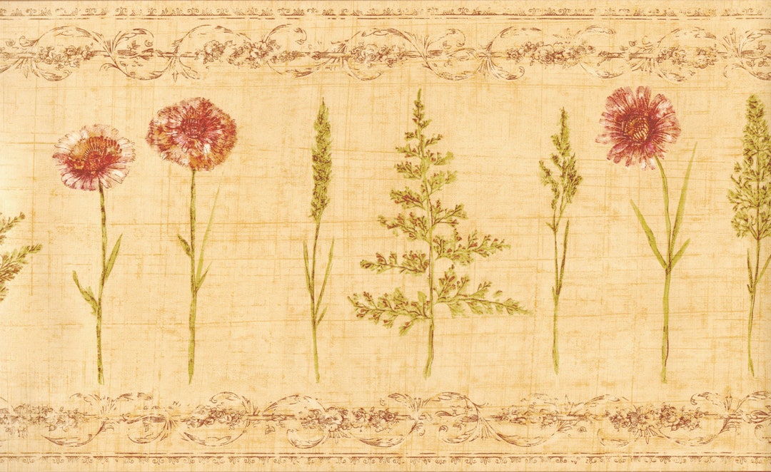 Daisy Wallpaper Border Contemporary Floral Herbs and Wheat Etsy
