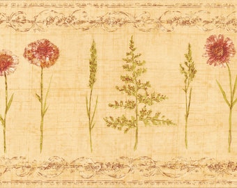 Daisy Wallpaper Border | Contemporary Floral Herbs and Wheat Wallpaper Border