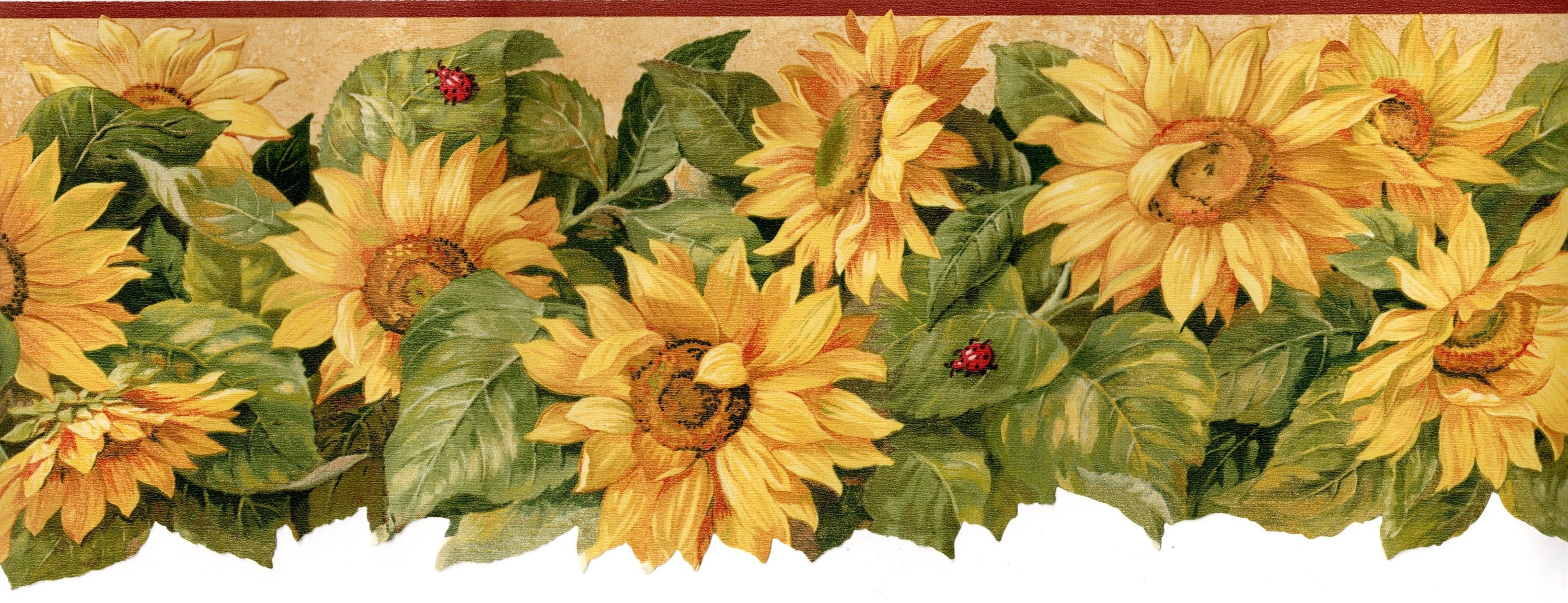 Sunflower Tin Stars Berries Peg Wallpaper Border CB5516bd br CLEARANCE  QUANTITIES LIMITED
