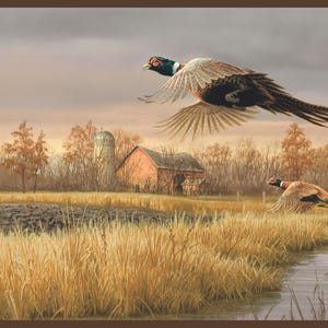 May include: A painting of two pheasants in flight over a rural landscape. The birds have brown, black, and white feathers. A red barn and silo are in the background, with tall grass and a stream in the foreground. The sky is overcast.
