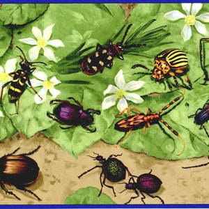 May include: A colorful illustration of various beetles on green leaves with white flowers. The beetles are depicted in a variety of colors, including green, red, black, yellow, and brown.